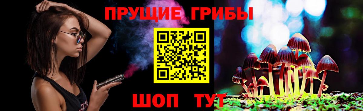 Галлюциногенные грибы Psilocybine cubensis Урай